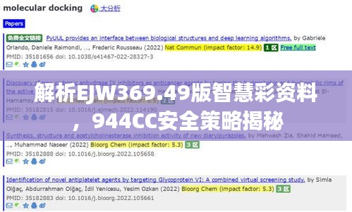 解析EJW369.49版智慧彩资料，944CC安全策略揭秘