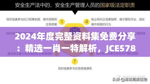 2024年度完整资料集免费分享：精选一肖一特解析，JCE578.14活跃版精华版