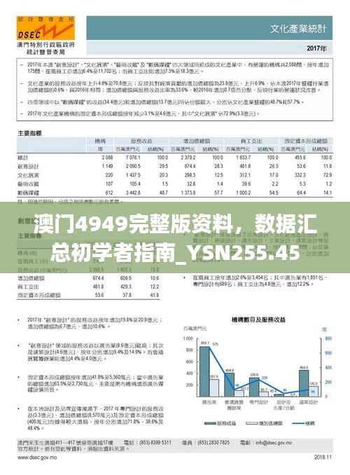 澳门4949完整版资料，数据汇总初学者指南_YSN255.45