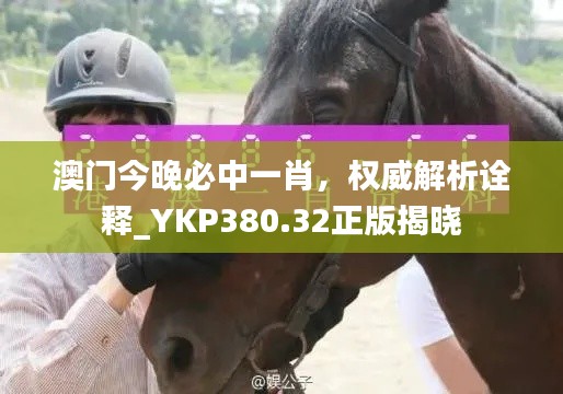 澳门今晚必中一肖，权威解析诠释_YKP380.32正版揭晓