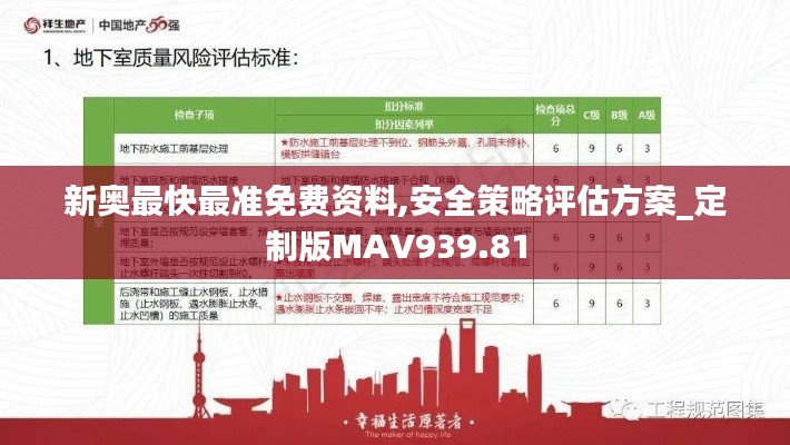 新奥最快最准免费资料,安全策略评估方案_定制版MAV939.81