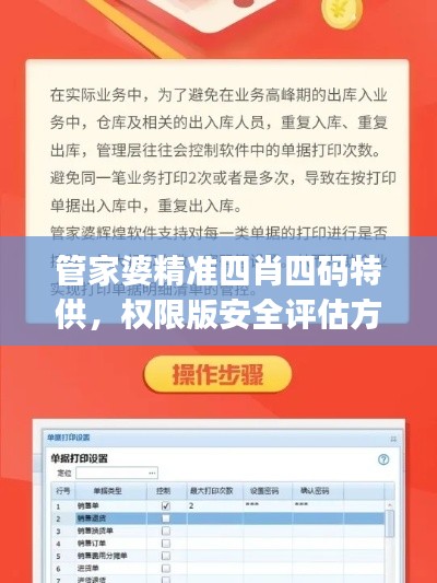 管家婆精准四肖四码特供，权限版安全评估方案MUJ628.48