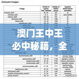 澳门王中王必中秘籍，全面解读评估_精华版MNC973.38