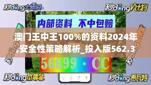 澳门王中王100%的资料2024年,安全性策略解析_投入版562.36