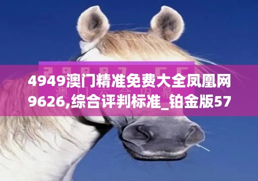 4949澳门精准免费大全凤凰网9626,综合评判标准_铂金版577.84