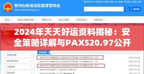 2024年天天好运资料揭秘：安全策略详解与PAX520.97公开版分析