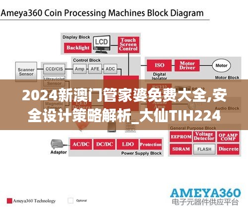 2024新澳门管家婆免费大全,安全设计策略解析_大仙TIH224.69