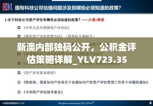 新澳内部独码公开，公积金评估策略详解_YLV723.35