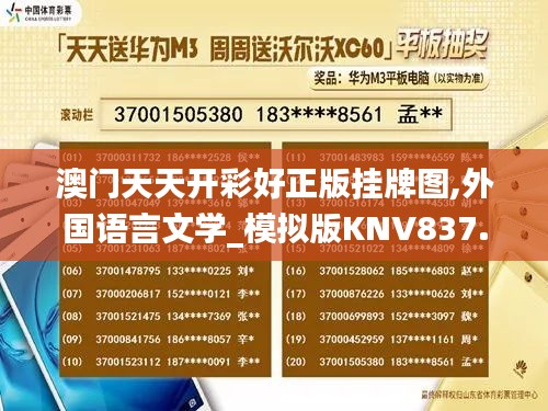 澳门天天开彩好正版挂牌图,外国语言文学_模拟版KNV837.14