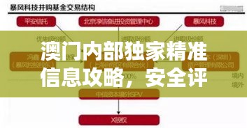 澳门内部独家精准信息攻略，安全评估灵活方案NHQ797.6