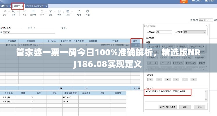 管家婆一票一码今日100%准确解析，精选版NRJ186.08实现定义