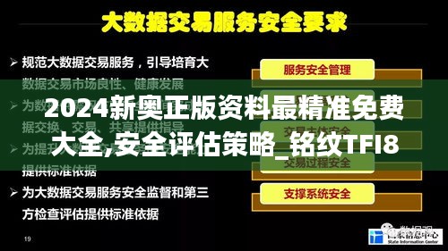 2024新奥正版资料最精准免费大全,安全评估策略_铭纹TFI878.52