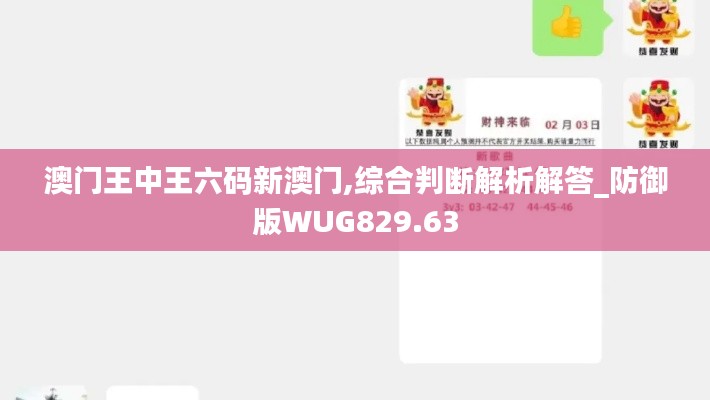 澳门王中王六码新澳门,综合判断解析解答_防御版WUG829.63