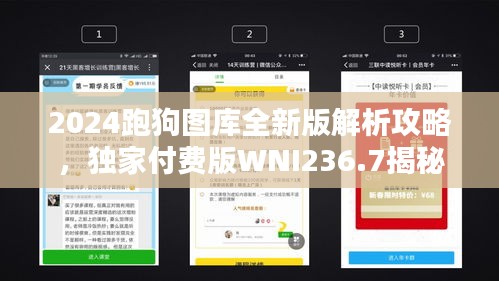 2024跑狗图库全新版解析攻略，独家付费版WNI236.7揭秘