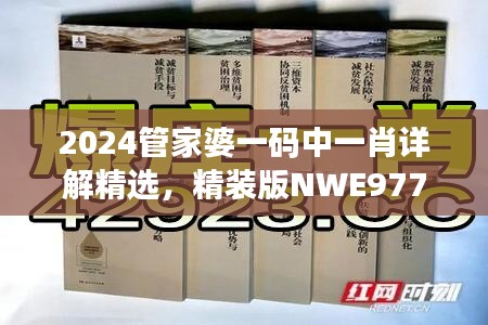 2024管家婆一码中一肖详解精选，精装版NWE977.45版面