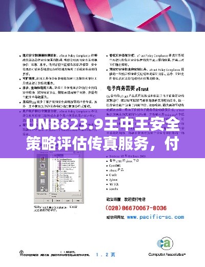 UNB823.9王中王安全策略评估传真服务，付费版7777788888