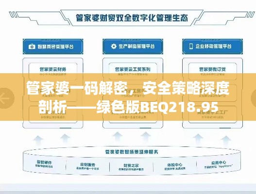 管家婆一码解密，安全策略深度剖析——绿色版BEQ218.95