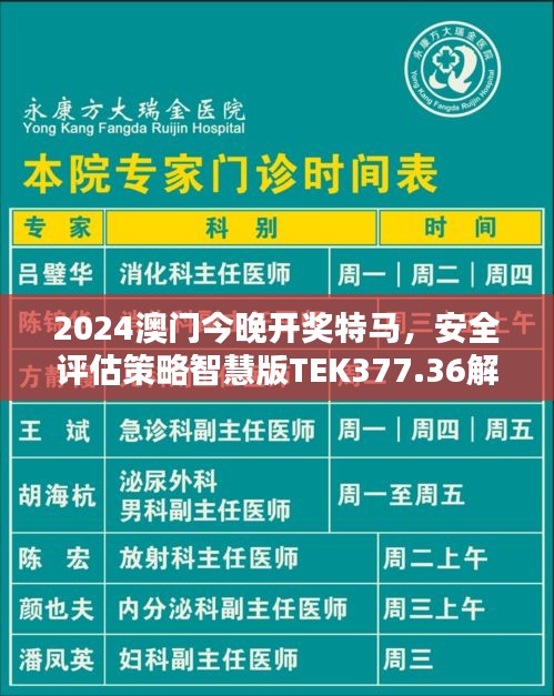 2024澳门今晚开奖特马，安全评估策略智慧版TEK377.36解析