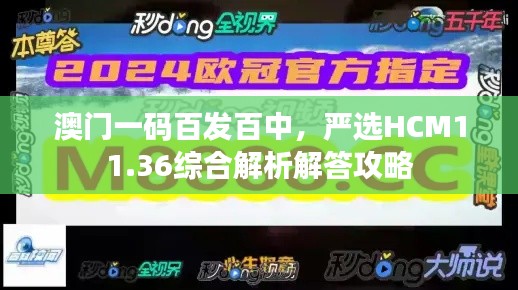 澳门一码百发百中，严选HCM11.36综合解析解答攻略