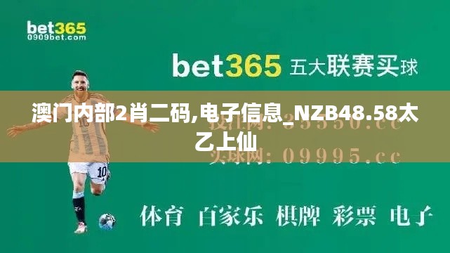 澳门内部2肖二码,电子信息_NZB48.58太乙上仙