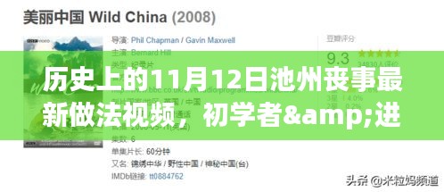 历史上的11月12日池州丧事礼仪最新做法视频，初学者与进阶用户操作指南全解析