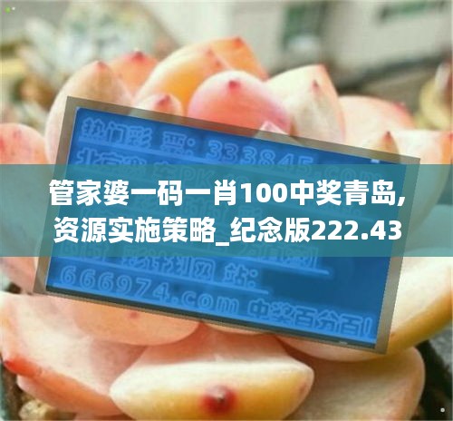 管家婆一码一肖100中奖青岛,资源实施策略_纪念版222.43