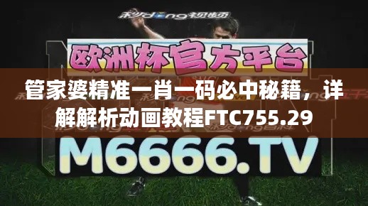 管家婆精准一肖一码必中秘籍，详解解析动画教程FTC755.29