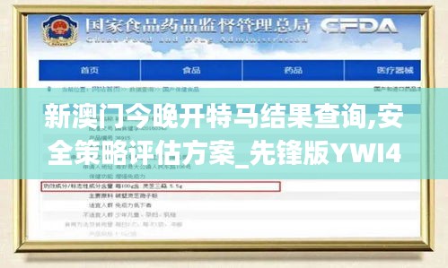 新澳门今晚开特马结果查询,安全策略评估方案_先锋版YWI476.63