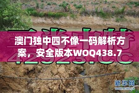 澳门独中四不像一码解析方案，安全版本WOQ438.78更新