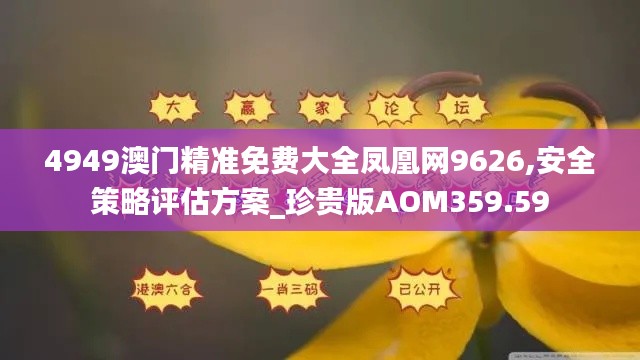 4949澳门精准免费大全凤凰网9626,安全策略评估方案_珍贵版AOM359.59