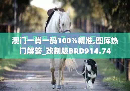 澳门一肖一码100%精准,图库热门解答_改制版BRD914.74