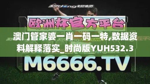 澳门管家婆一肖一码一特,数据资料解释落实_时尚版YUH532.38