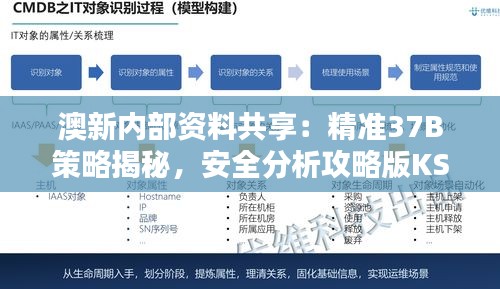 澳新内部资料共享：精准37B策略揭秘，安全分析攻略版KSQ924.72