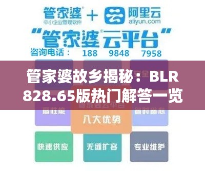 管家婆故乡揭秘：BLR828.65版热门解答一览