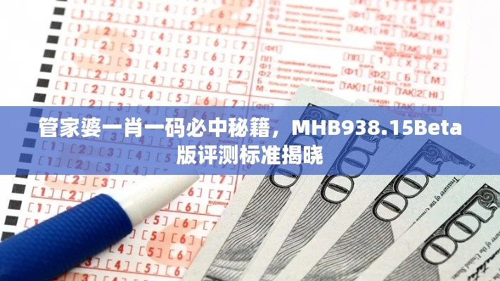 管家婆一肖一码必中秘籍，MHB938.15Beta版评测标准揭晓