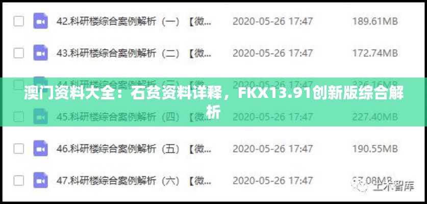 澳门资料大全：石贫资料详释，FKX13.91创新版综合解析