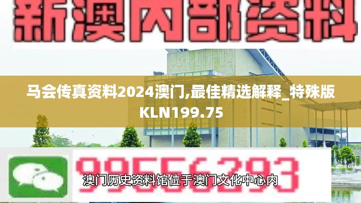 马会传真资料2024澳门,最佳精选解释_特殊版KLN199.75