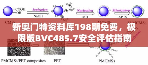 新奥门特资料库198期免费，极限版BVC485.7安全评估指南