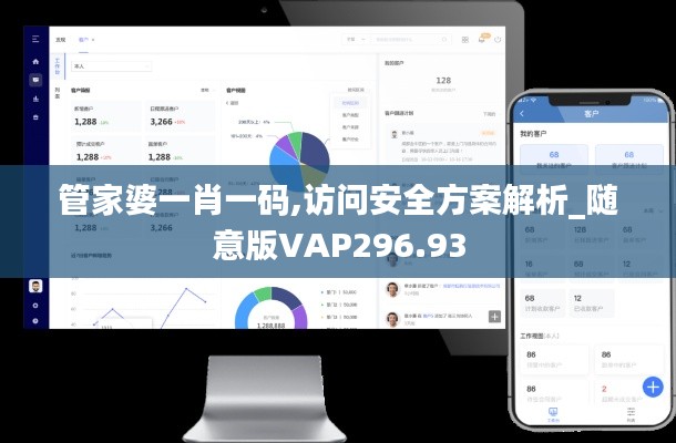 管家婆一肖一码,访问安全方案解析_随意版VAP296.93