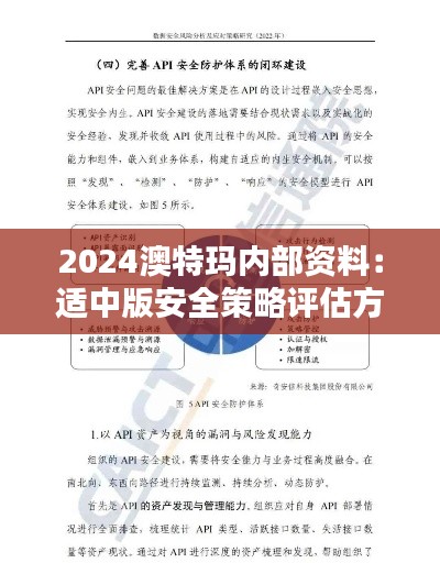 2024澳特玛内部资料：适中版安全策略评估方案KMF323.91