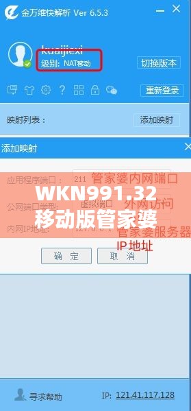 WKN991.32移动版管家婆必中一期，揭秘正品解析定义