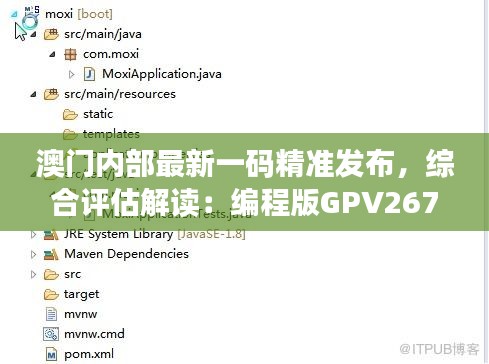 澳门内部最新一码精准发布，综合评估解读：编程版GPV267.14