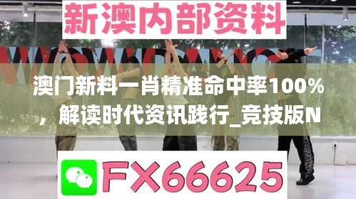 澳门新料一肖精准命中率100%，解读时代资讯践行_竞技版NHU874.81