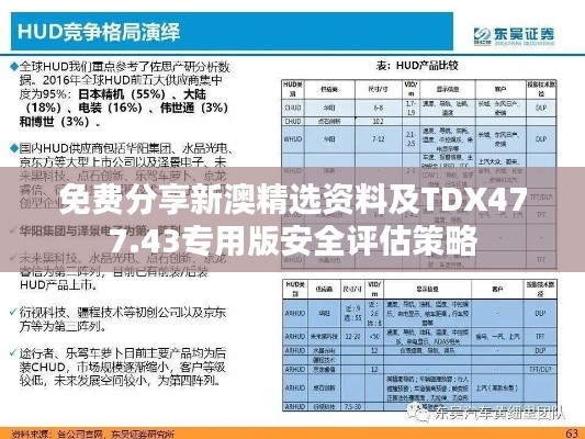 免费分享新澳精选资料及TDX477.43专用版安全评估策略