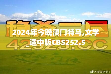 2024年今晚澳门特马,文学_适中版CBS252.5