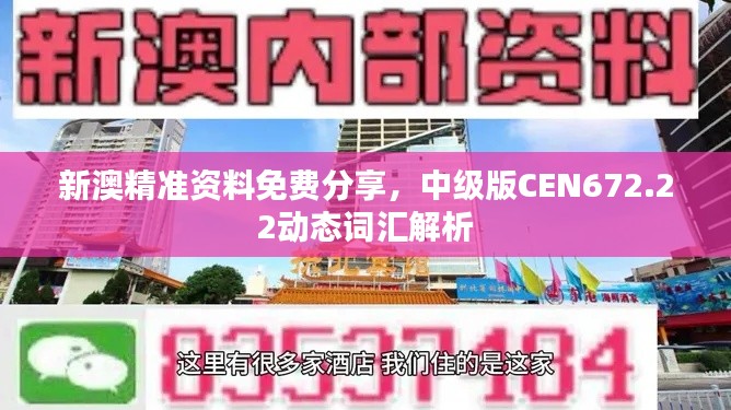 新澳精准资料免费分享，中级版CEN672.22动态词汇解析