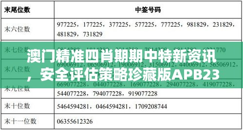 澳门精准四肖期期中特新资讯，安全评估策略珍藏版APB239.36