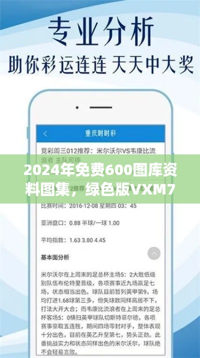 2024年免费600图库资料图集，绿色版VXM776.89详尽解读