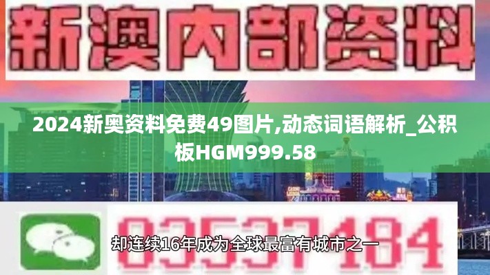 2024新奥资料免费49图片,动态词语解析_公积板HGM999.58