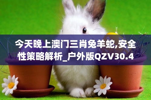 今天晚上澳门三肖兔羊蛇,安全性策略解析_户外版QZV30.43